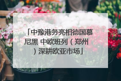 中豫港务亮相德国慕尼黑 中欧班列（郑州）深耕欧亚市场