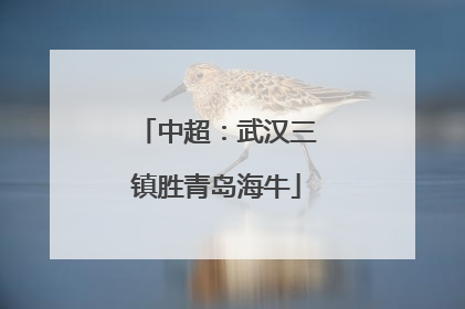 中超：武汉三镇胜青岛海牛