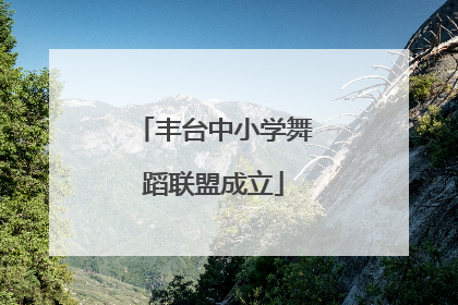 丰台中小学舞蹈联盟成立