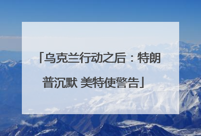 乌克兰行动之后：特朗普沉默 美特使警告