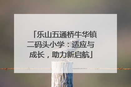 乐山五通桥牛华镇二码头小学：适应与成长，助力新启航