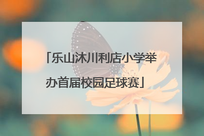 乐山沐川利店小学举办首届校园足球赛