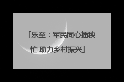 乐至：军民同心插秧忙 助力乡村振兴