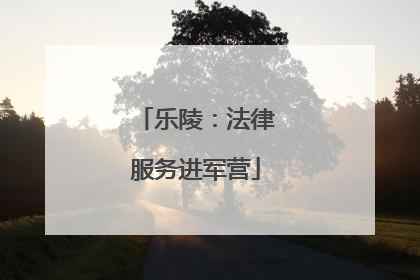 乐陵：法律服务进军营