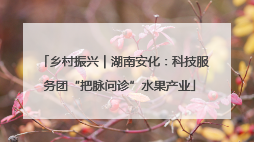 乡村振兴｜湖南安化：科技服务团“把脉问诊”水果产业