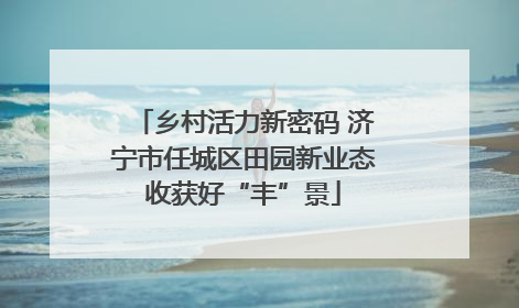 乡村活力新密码 济宁市任城区田园新业态收获好“丰”景