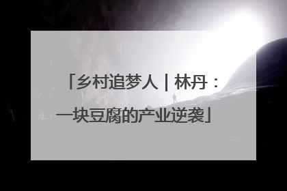 乡村追梦人｜林丹：一块豆腐的产业逆袭
