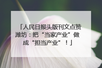 人民日报头版刊文点赞潍坊：把“当家产业”做成“担当产业”！