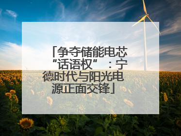 争夺储能电芯“话语权”：宁德时代与阳光电源正面交锋