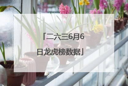 二六三6月6日龙虎榜数据