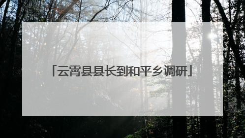 云霄县县长到和平乡调研
