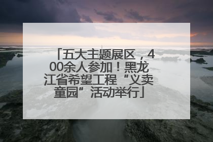 五大主题展区，400余人参加！黑龙江省希望工程“义卖童园”活动举行