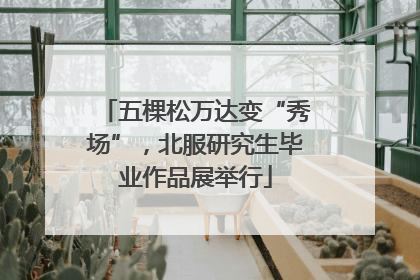 五棵松万达变“秀场”，北服研究生毕业作品展举行