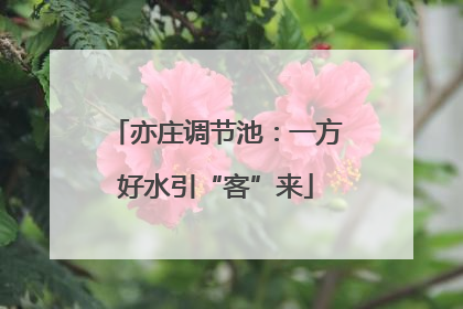 亦庄调节池：一方好水引“客”来