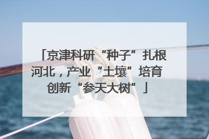 京津科研“种子”扎根河北，产业“土壤”培育创新“参天大树”