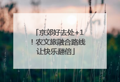 京郊好去处+1！农文旅融合路线让快乐翻倍