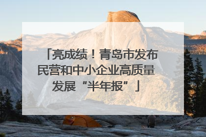 亮成绩！青岛市发布民营和中小企业高质量发展“半年报”