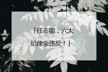 任志能，六大纪律全违反！