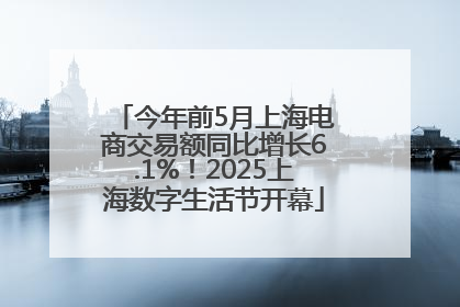 今年前5月上海电商交易额同比增长6.1%！2025上海数字生活节开幕