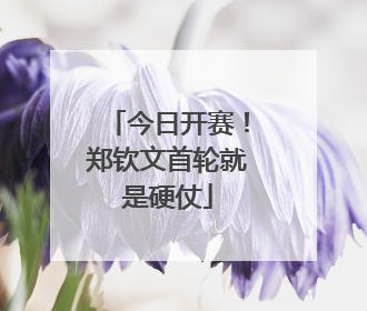 今日开赛！郑钦文首轮就是硬仗