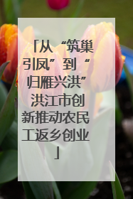 从“筑巢引凤”到“归雁兴洪” 洪江市创新推动农民工返乡创业