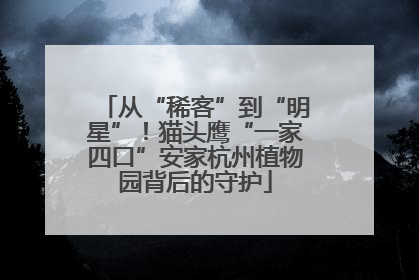 从“稀客”到“明星”！猫头鹰“一家四口”安家杭州植物园背后的守护