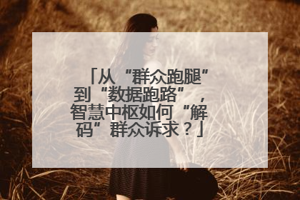 从“群众跑腿”到“数据跑路”，智慧中枢如何“解码”群众诉求？