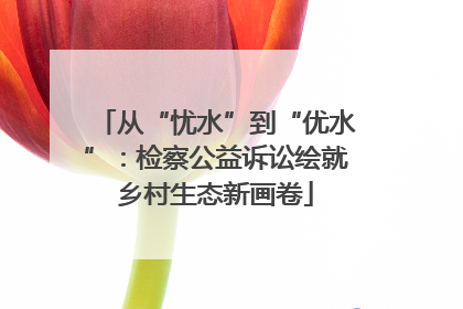 从“忧水”到“优水”：检察公益诉讼绘就乡村生态新画卷