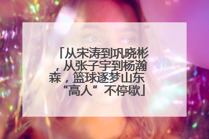从宋涛到巩晓彬，从张子宇到杨瀚森，篮球逐梦山东“高人”不停歇