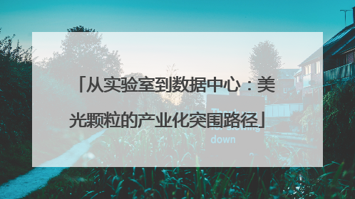 从实验室到数据中心：美光颗粒的产业化突围路径