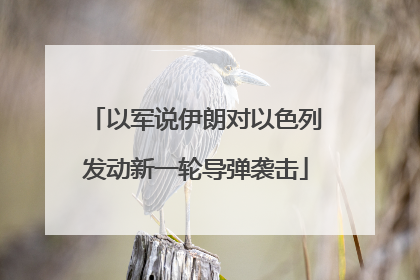 以军说伊朗对以色列发动新一轮导弹袭击