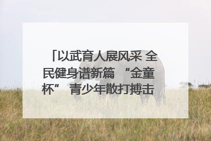 以武育人展风采 全民健身谱新篇 “金童杯” 青少年散打搏击邀请赛圆满落幕