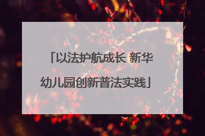 以法护航成长 新华幼儿园创新普法实践