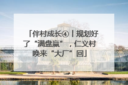 伴村成长④丨规划好了“满盘赢”，仁义村唤来“大厂”回