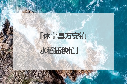 休宁县万安镇水稻插秧忙