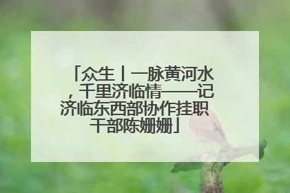 众生丨一脉黄河水，千里济临情——记济临东西部协作挂职干部陈姗姗