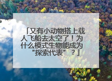 又有小动物搭上载人飞船去太空了！为什么模式生物能成为“探索代表”？
