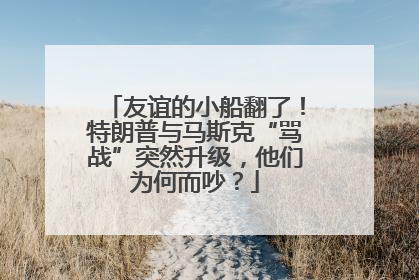 友谊的小船翻了！特朗普与马斯克“骂战”突然升级，他们为何而吵？