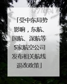 受中东局势影响，东航、国航、深航等5家航空公司发布相关航线退改政策