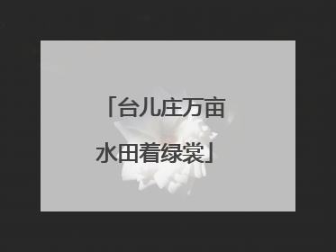台儿庄万亩水田着绿裳