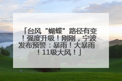 台风“蝴蝶”路径有变！强度升级！刚刚，宁波发布预警：暴雨！大暴雨！11级大风！