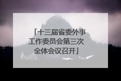 十三届省委外事工作委员会第三次全体会议召开