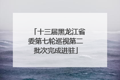 十三届黑龙江省委第七轮巡视第二批次完成进驻