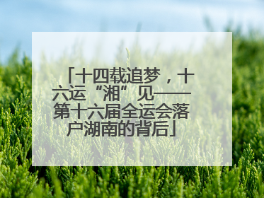 十四载追梦，十六运“湘”见——第十六届全运会落户湖南的背后