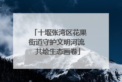 十堰张湾区花果街道守护文明河流 共绘生态画卷