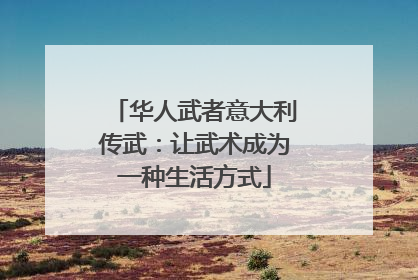 华人武者意大利传武：让武术成为一种生活方式