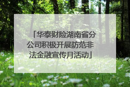 华泰财险湖南省分公司积极开展防范非法金融宣传月活动