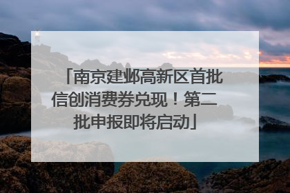 南京建邺高新区首批信创消费券兑现！第二批申报即将启动