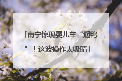 南宁惊现婴儿车“遛鸭”！这波操作太吸睛