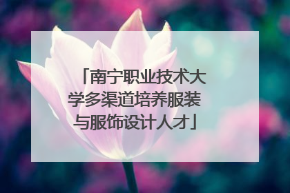南宁职业技术大学多渠道培养服装与服饰设计人才